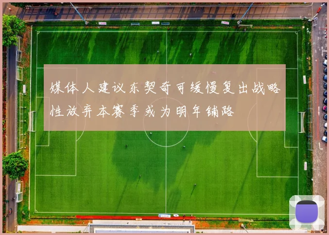 媒体人建议东契奇可缓慢复出战略性放弃本赛季或为明年铺路