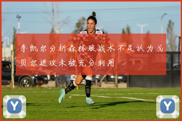 李凯尔分析森林狼战术不足认为戈贝尔进攻未被充分利用