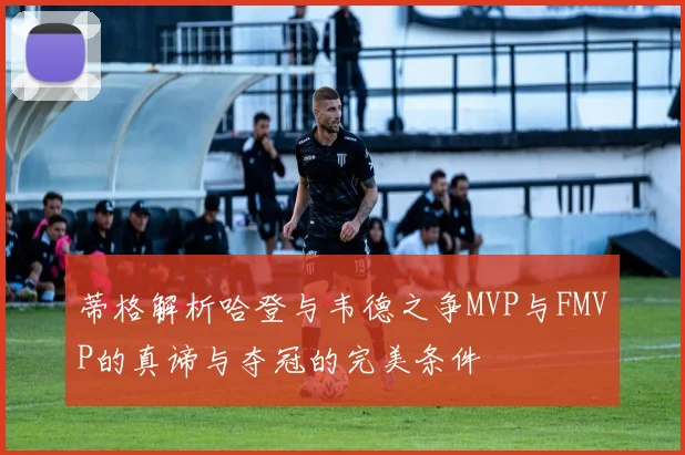 蒂格解析哈登与韦德之争MVP与FMVP的真谛与夺冠的完美条件